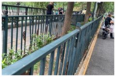 访民斥中共信访新规堵死维权路