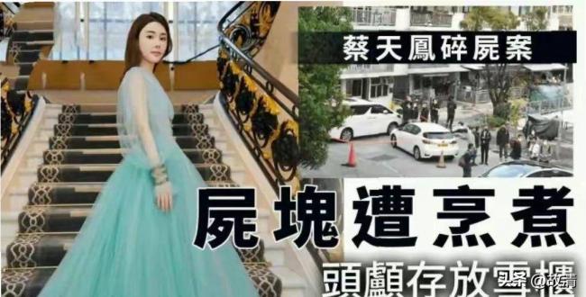 蔡天凤案惊天反转 豪门老公与逃犯前夫很亲密